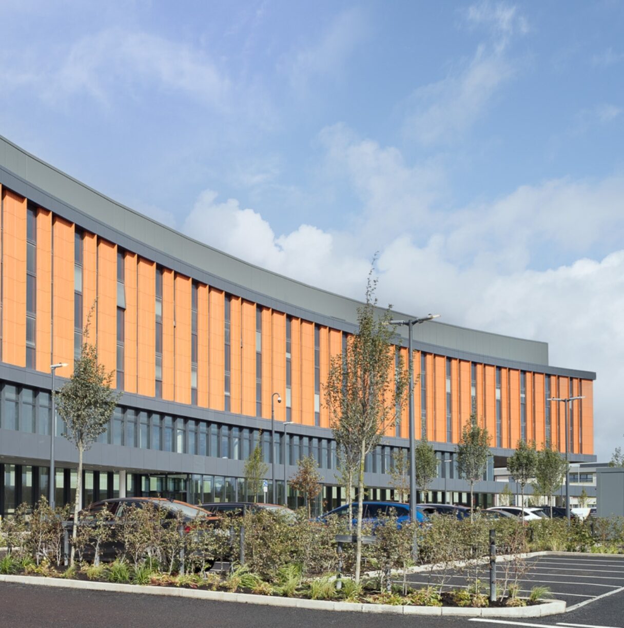 Download Neurophysiology testing information for GP's